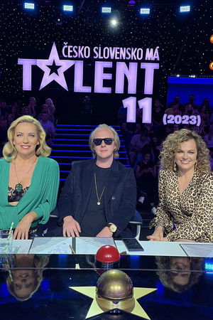 Poster for Season 11