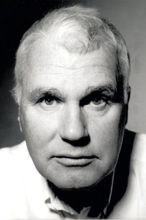 Poster for Season 13