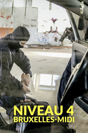 Poster for Brussels South