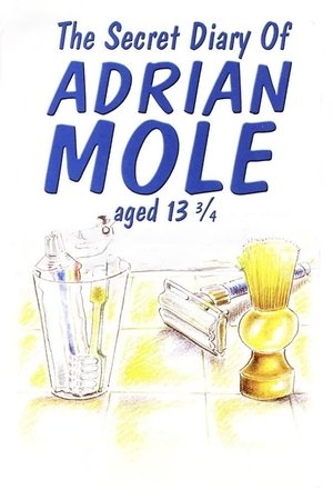 Poster for The Secret Diary of Adrian Mole Aged 13¾
