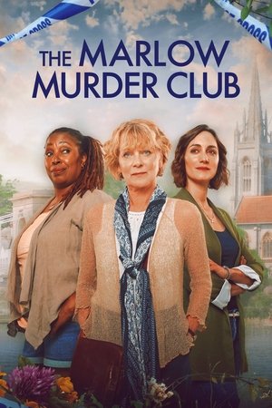 Poster for Series 2