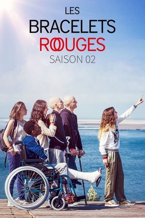 Poster for Season 2
