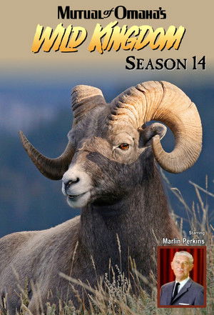 Poster for Season 14