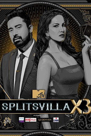 Poster for Season 13