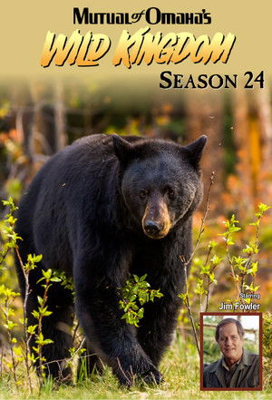 Poster for Season 24