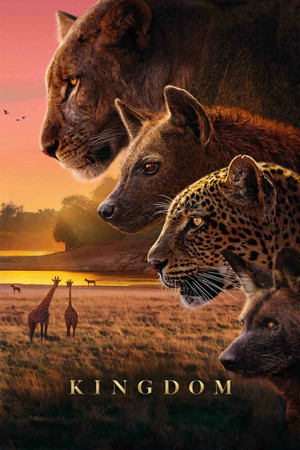 Poster for Miniseries