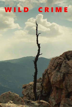 Poster for Murder in the Rocky Mountains