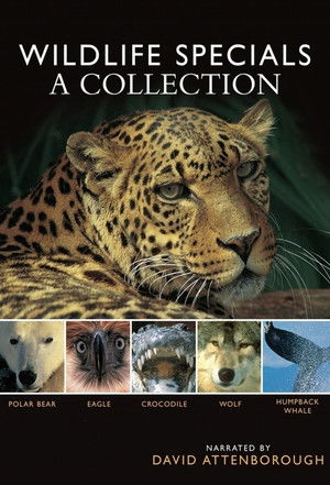 Poster for The wildlife specials season 1