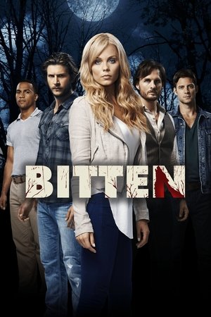 Poster for Season 1