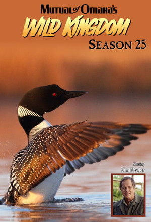 Poster for Season 25