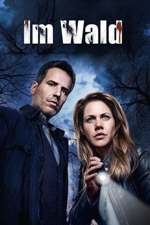 Poster for Miniseries