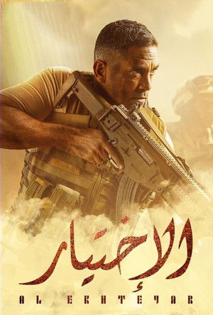 Poster for The Choice