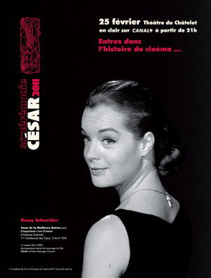 Poster for Season 36