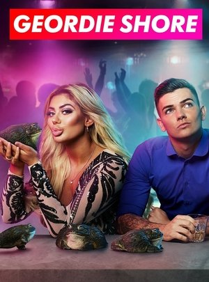 Poster for Season 16