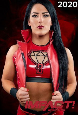 Poster for Season 17