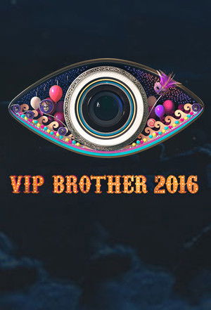 Poster for VIP Brother 2016