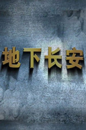 Poster for Season 306