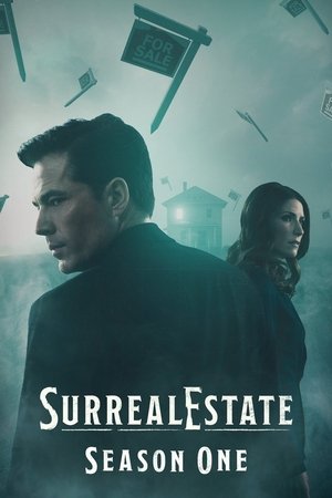 Poster for Season 1