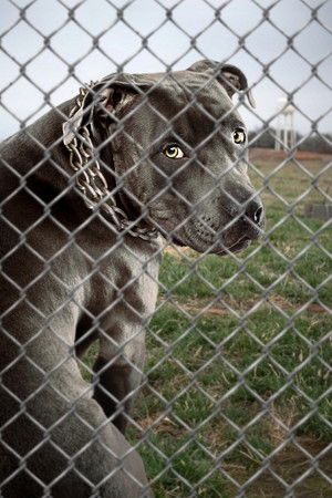 Poster for Season 18