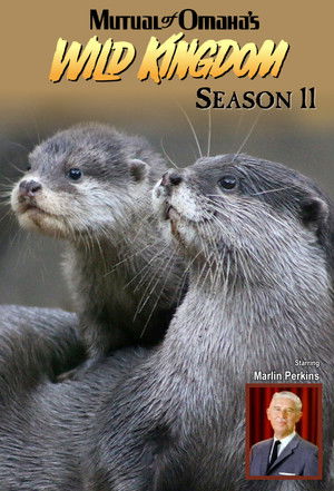 Poster for Season 11