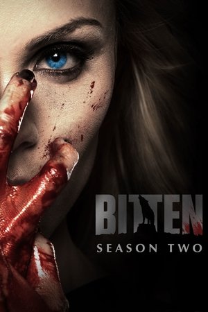 Poster for Season 2