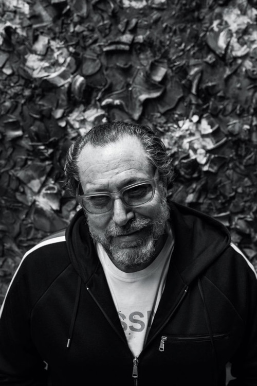 Photo of Julian Schnabel