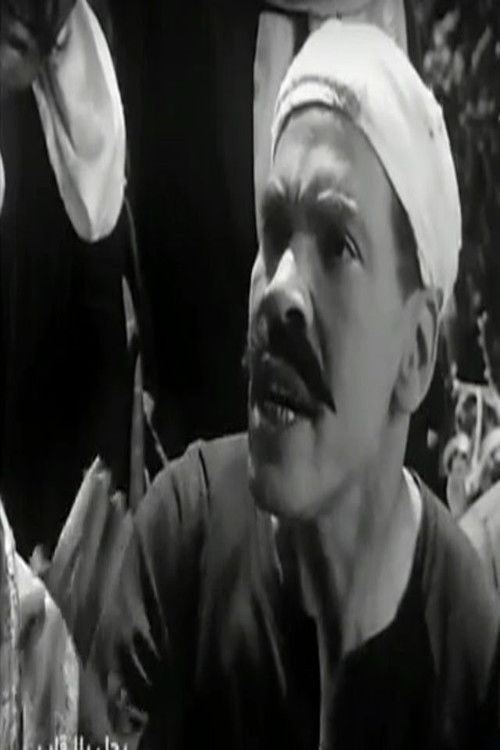 Photo of Sayed Ghoneim