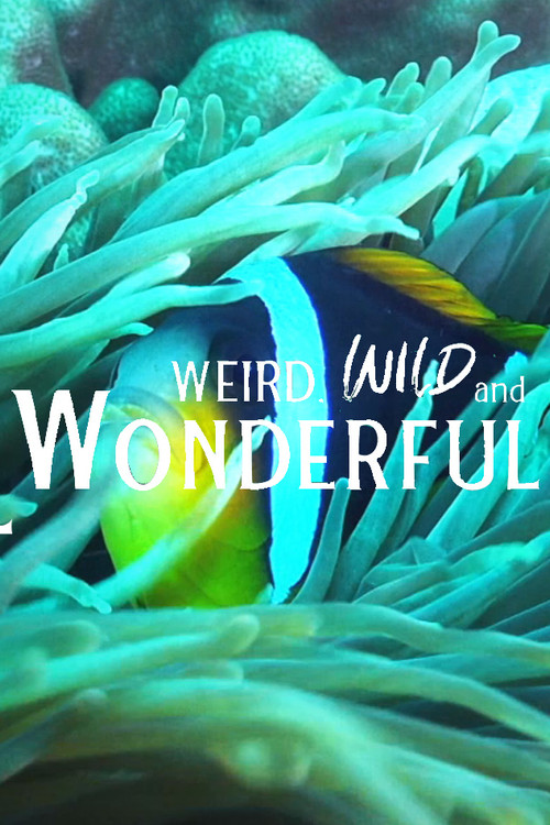 Weird, Wild, and Wonderful