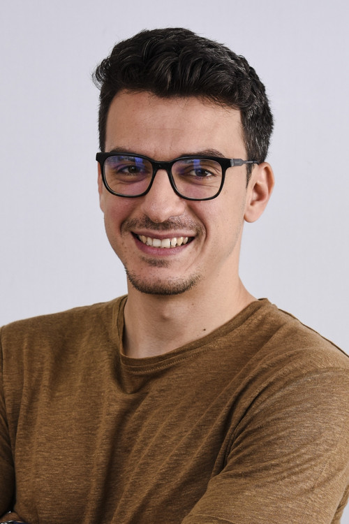 Photo of Alexandru Ion