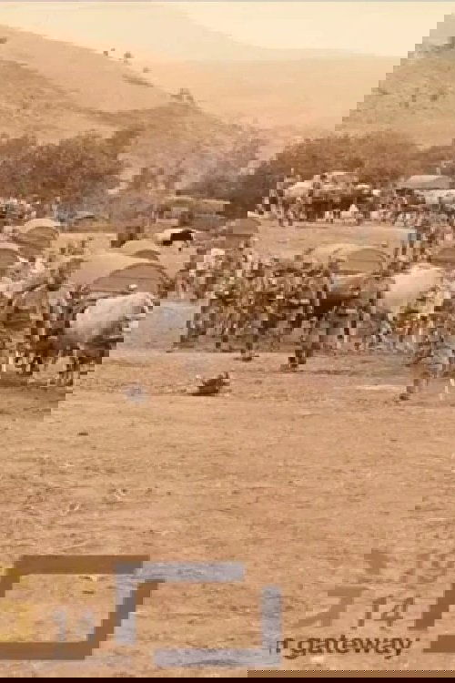 Ammunition Column of the Danube Division