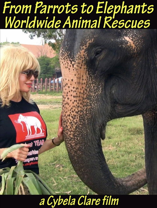 From Parrots to Elephants: Worldwide Animal Rescues