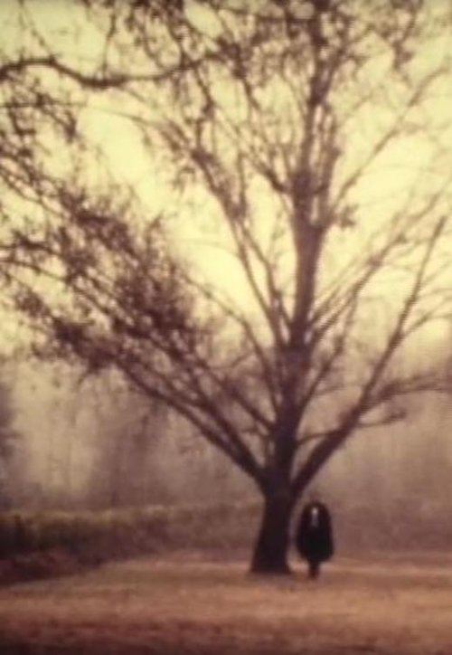 D. Jaime or the Portuguese Night