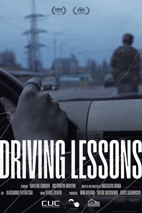 Driving Lessons