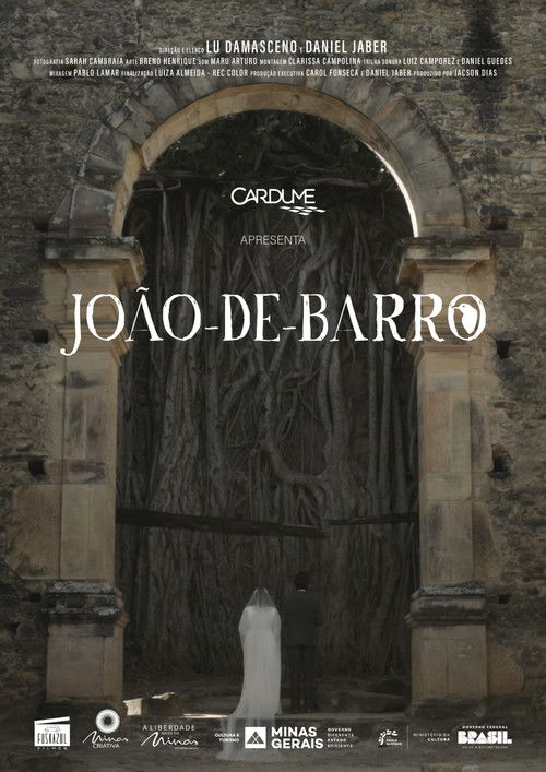 João-de-Barro