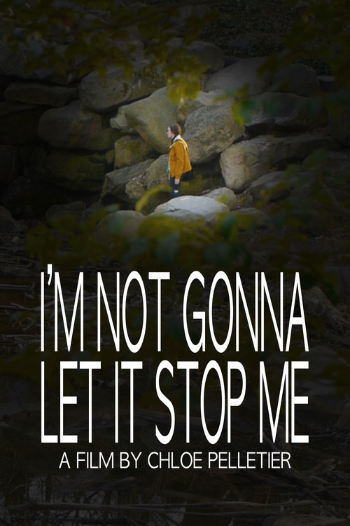 I'm Not Gonna Let It Stop Me