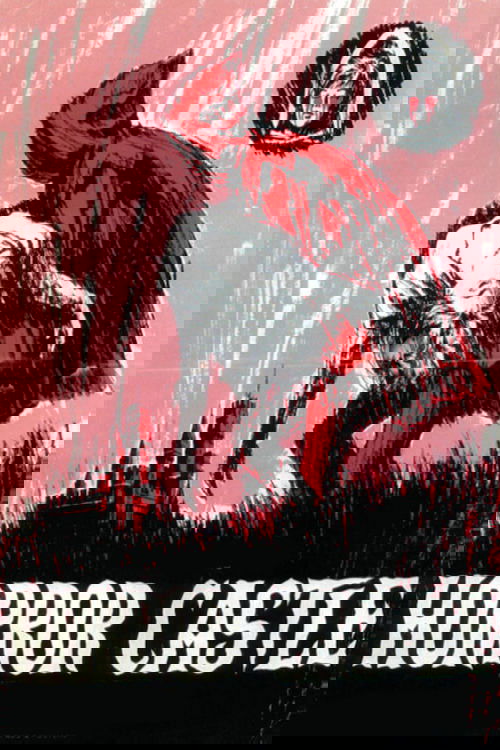 The Virgin of Nuremberg