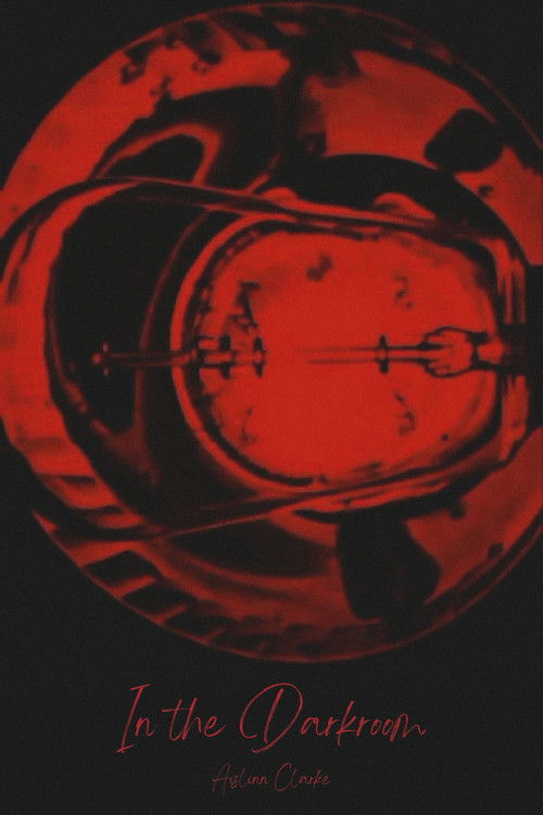 Poster for In the Darkroom