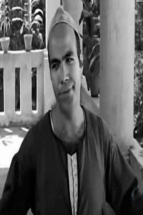 Photo of Mahmoud ElTony