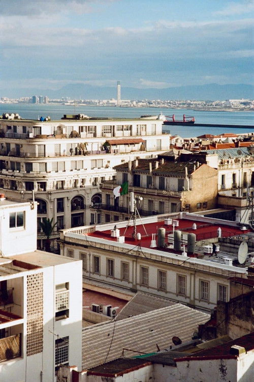 TIF | On The Corner (Alger, Algérie)