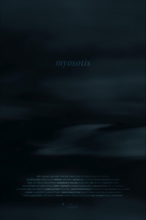 Myosotis