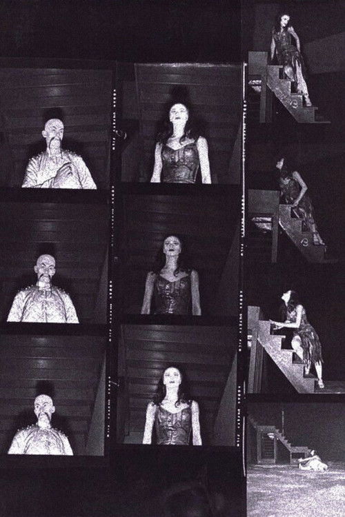 The Miraculous Mandarin