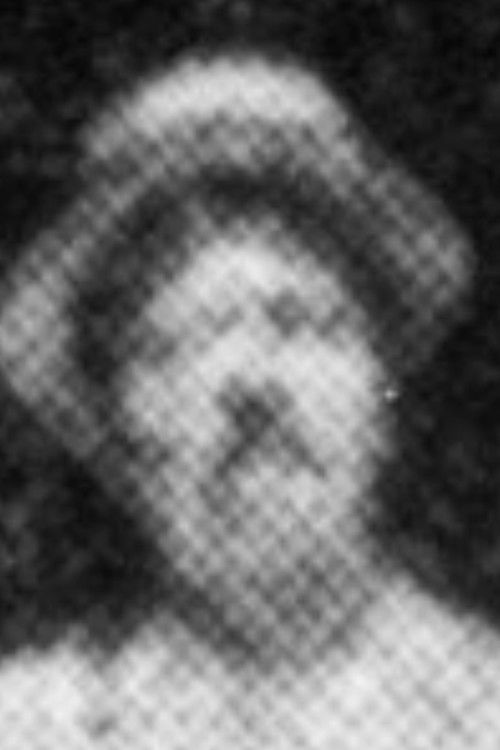 Photo of William Heise