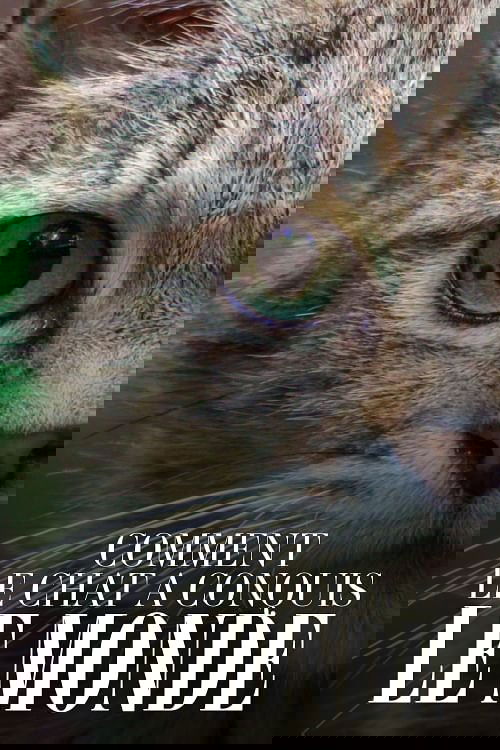 Comment le chat a conquis le monde