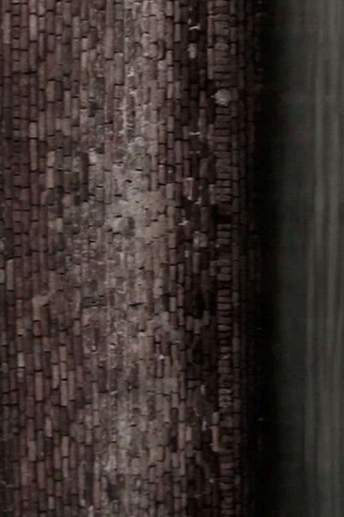 The Little White Doves