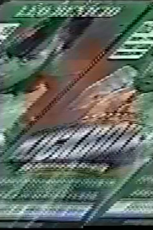 Kickboxer Os Punhos da Revolta