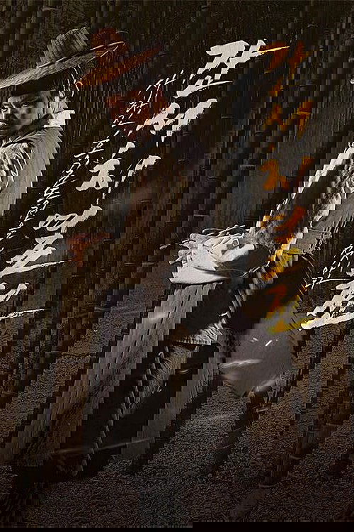 The Tale of the Bookworm