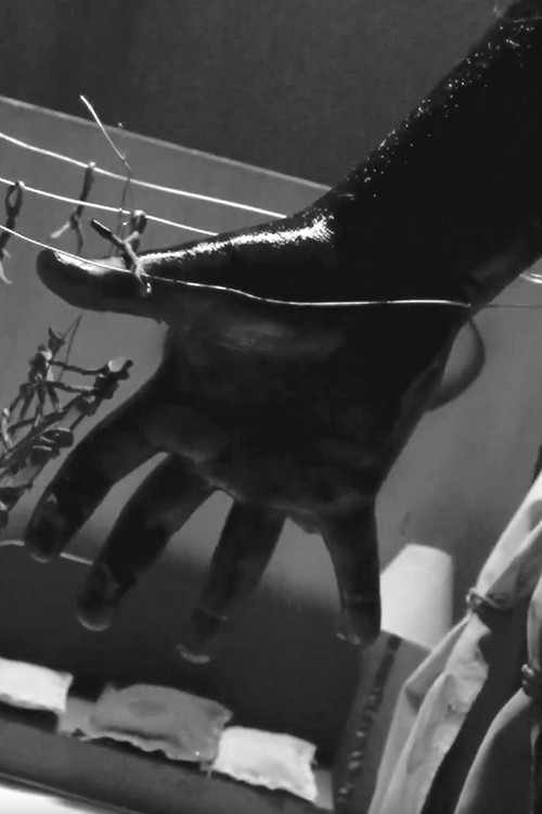 Eternal Return - PINK Edition