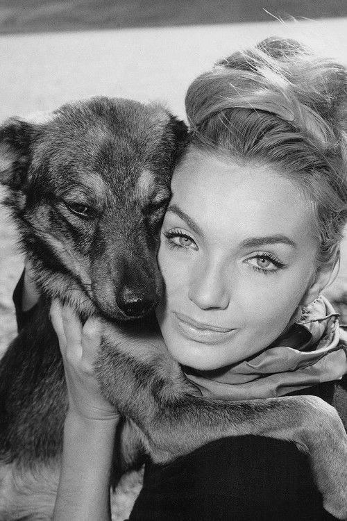 Photo of Maria Perschy