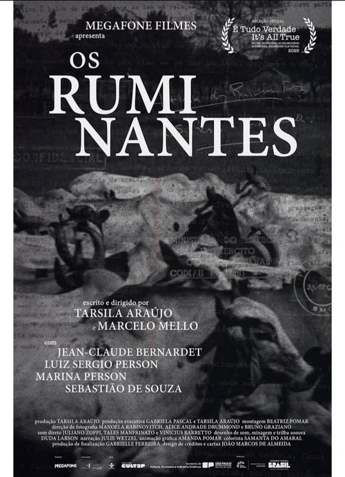 Os Ruminantes