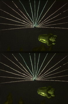 Fantaisies endiablées